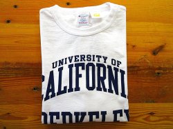 画像1: CHAMPION   T1011ロングスリーブTシャツ　　　　  BERKELEY(ホワイト)