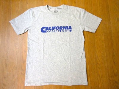 画像1: MIXTA 2024 SSプリントTシャツ　    CALIFORNIA                      ( ASH)