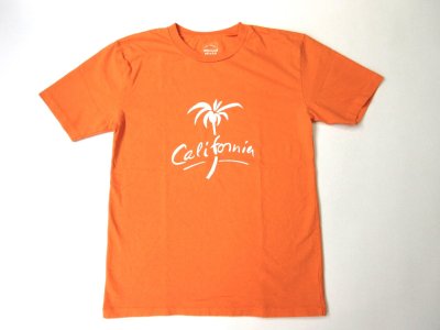 画像1: MIXTA 2024 SSプリントTシャツ　  PALM TREE        NAVEL ORANGE