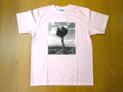 画像1: Good On　Mexico×Love    PHOTO プリントSS Tシャツ　　　P-SAKURA